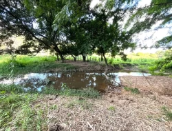 SÍTIO A 3 KM DE PARÁ DE MINAS