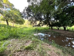 SÍTIO A 3 KM DE PARÁ DE MINAS