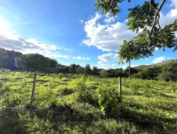 SÍTIO A 3 KM DE PARÁ DE MINAS