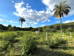 SÍTIO A 3 KM DE PARÁ DE MINAS