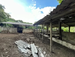 SÍTIO A 3 KM DE PARÁ DE MINAS