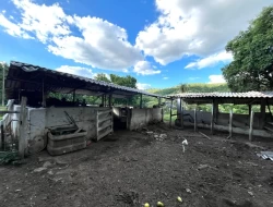 SÍTIO A 3 KM DE PARÁ DE MINAS