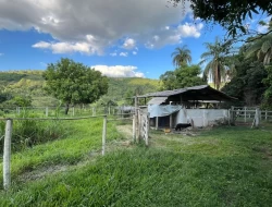 SÍTIO A 3 KM DE PARÁ DE MINAS