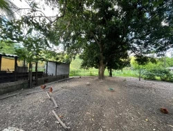 SÍTIO A 3 KM DE PARÁ DE MINAS