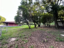 SÍTIO A 3 KM DE PARÁ DE MINAS