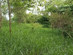 FAZENDA EM SÃO JOSÉ DA VARGINHA