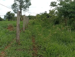 FAZENDA EM SÃO JOSÉ DA VARGINHA