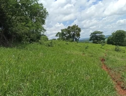 FAZENDA EM SÃO JOSÉ DA VARGINHA