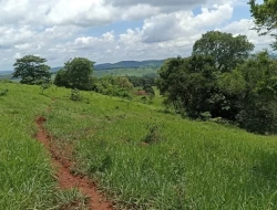 FAZENDA EM SÃO JOSÉ DA VARGINHA