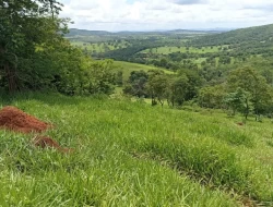 FAZENDA EM SÃO JOSÉ DA VARGINHA