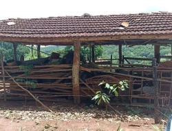 FAZENDA EM SÃO JOSÉ DA VARGINHA