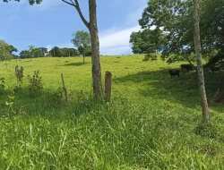 FAZENDA EM SÃO JOSÉ DA VARGINHA