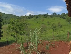 FAZENDA EM SÃO JOSÉ DA VARGINHA