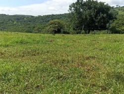 FAZENDA EM SÃO JOSÉ DA VARGINHA