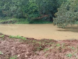 FAZENDA EM SÃO JOSÉ DA VARGINHA