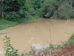 FAZENDA EM SÃO JOSÉ DA VARGINHA