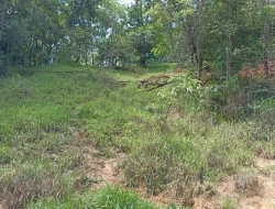 FAZENDA EM SÃO JOSÉ DA VARGINHA