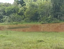 FAZENDA 30 HECTARES EM BARRO PRETO/ PARÁ DE MINAS