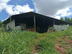 FAZENDA 30 HECTARES EM BARRO PRETO/ PARÁ DE MINAS