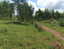 FAZENDA 30 HECTARES EM BARRO PRETO/ PARÁ DE MINAS