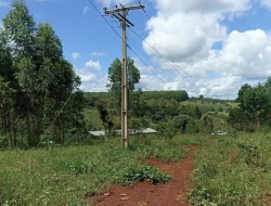 FAZENDA 30 HECTARES EM BARRO PRETO/ PARÁ DE MINAS