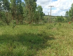 FAZENDA 30 HECTARES EM BARRO PRETO/ PARÁ DE MINAS