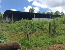 FAZENDA 30 HECTARES EM BARRO PRETO/ PARÁ DE MINAS