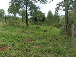 FAZENDA 30 HECTARES EM BARRO PRETO/ PARÁ DE MINAS