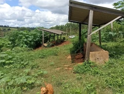 FAZENDA 30 HECTARES EM BARRO PRETO/ PARÁ DE MINAS