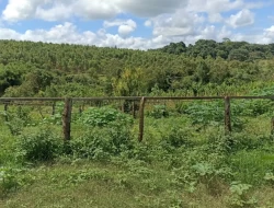 FAZENDA 30 HECTARES EM BARRO PRETO/ PARÁ DE MINAS