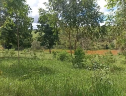 FAZENDA 30 HECTARES EM BARRO PRETO/ PARÁ DE MINAS