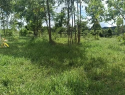 FAZENDA 30 HECTARES EM BARRO PRETO/ PARÁ DE MINAS