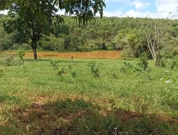 FAZENDA 30 HECTARES EM BARRO PRETO/ PARÁ DE MINAS