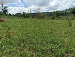 FAZENDA 30 HECTARES EM BARRO PRETO/ PARÁ DE MINAS