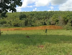 FAZENDA 30 HECTARES EM BARRO PRETO/ PARÁ DE MINAS