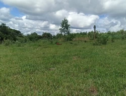 FAZENDA 30 HECTARES EM BARRO PRETO/ PARÁ DE MINAS