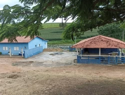 SÍTIO  EM LAGOA PRETA