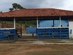 SÍTIO  EM LAGOA PRETA