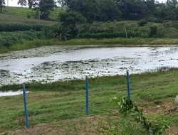 SÍTIO  EM LAGOA PRETA