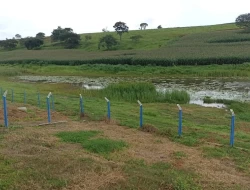 SÍTIO  EM LAGOA PRETA