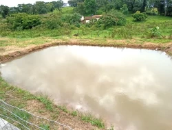 CHÁCARA EM LAGOA PRETA