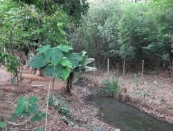 CHÁCARA EM VILAÇA/PEQUI