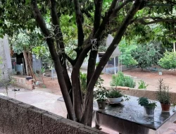 CHÁCARA EM VILAÇA/PEQUI