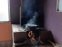 CHÁCARA EM VILAÇA/PEQUI