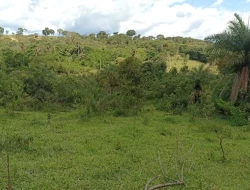 CHÁCARA EM CÓRREGO DO BARRO