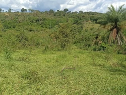 CHÁCARA EM CÓRREGO DO BARRO