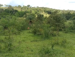 CHÁCARA EM CÓRREGO DO BARRO