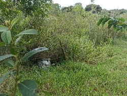 CHÁCARA EM CÓRREGO DO BARRO