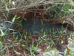 CHÁCARA EM CÓRREGO DO BARRO