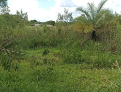 CHÁCARA EM CÓRREGO DO BARRO